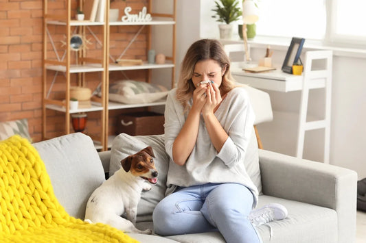 Allergie-epidemie? Dit is de reden